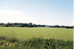 Eureka Township farmland