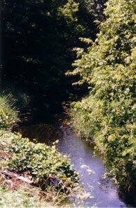 Vermillion River in Minnesota